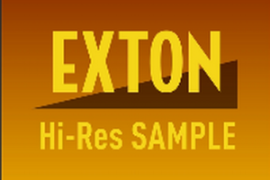 VA – Exton Hi-Res Sample 2020