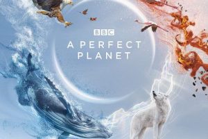 【专享】《完美星球》BBC纪录片原声带
