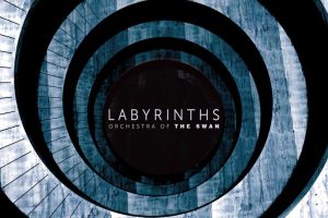 【专享】迷宫 (Labyrinths)