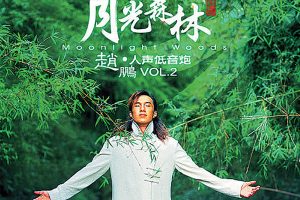 人声低音炮-月光森林