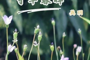 寸草春晖