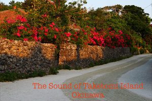 竹富岛之声 (The Sound of Taketomi Island)