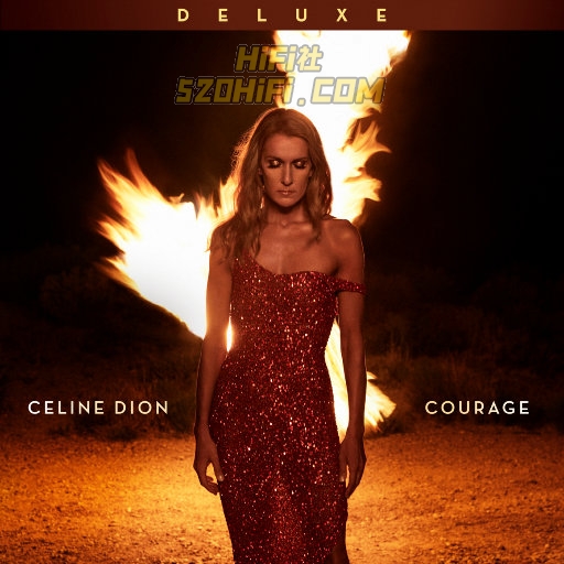 勇气 (Courage (Deluxe Edition))